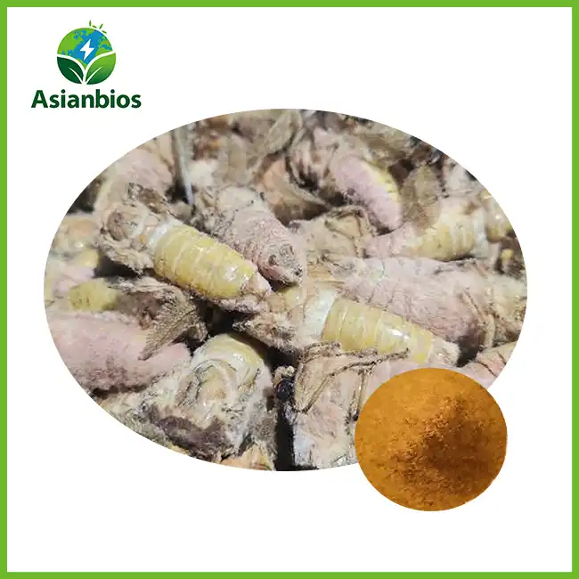 Male Silkworm Moth Extract